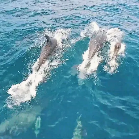 Villa Tulum By Algarve Vacation Almancil