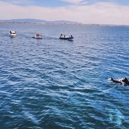 Tulum By Algarve Vacation Villa Almancil